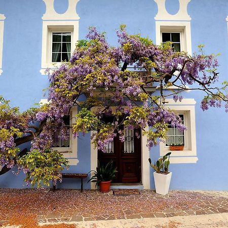 Hotel The Blue House Tolmin Exterior foto
