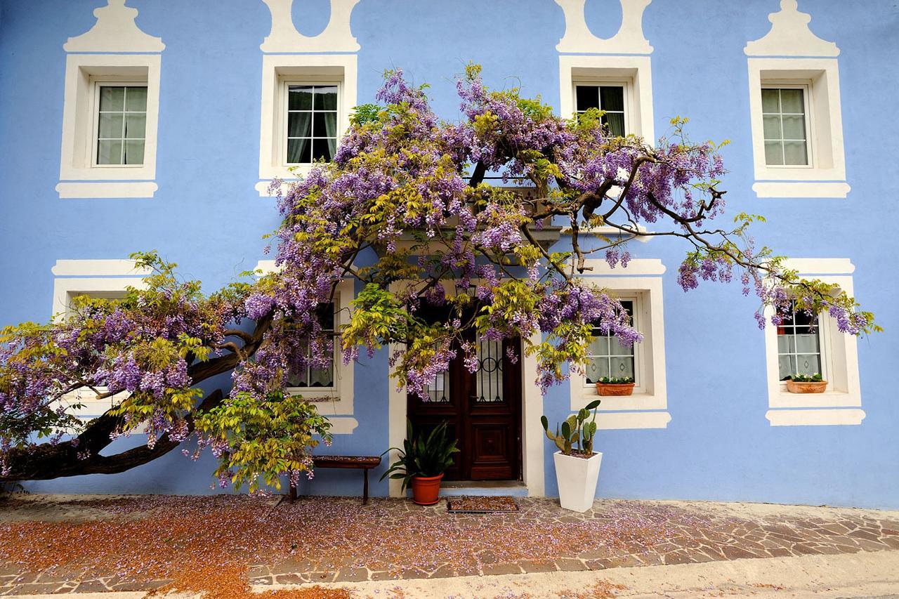 Hotel The Blue House Tolmin Exterior foto